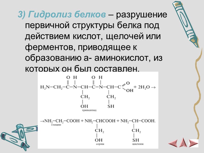 3) Гидролиз белков – разрушение первичной структуры белка под действием кислот, щелочей или ферментов,